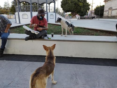 Detrás de Cámaras del Pueblo Laguna Seca de Sayula (35) (1)