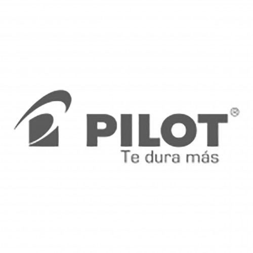 Pilot copia